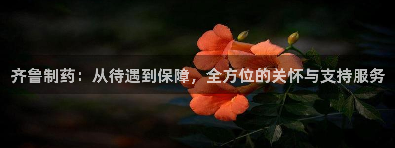 九游会老哥：齐鲁制药：从待遇到保障，全方位的关怀与支持服务
