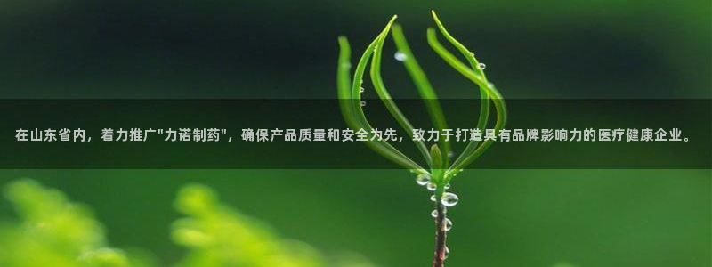 九游老哥俱乐部官网登录：在山东省内，着力推广\