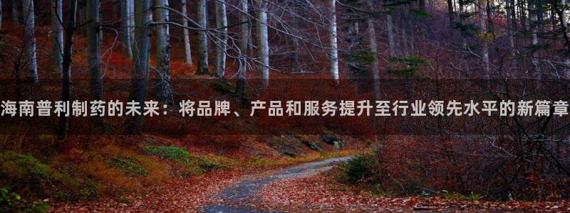 九游会老哥俱乐部必备的交流社区：海南普利制药的未来：将品牌、产品和服务提升至行业领先水平的新篇章