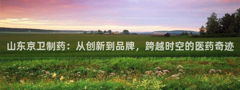 老哥吧九游会下架吗：山东京卫制药：从创新到品牌，跨越时空的医药奇迹