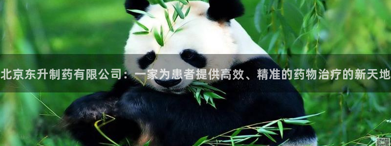j9九游会老哥俱乐部交流区：北京东升制药有限公司：一家为患者提供高效、精准的药物治疗的新天地