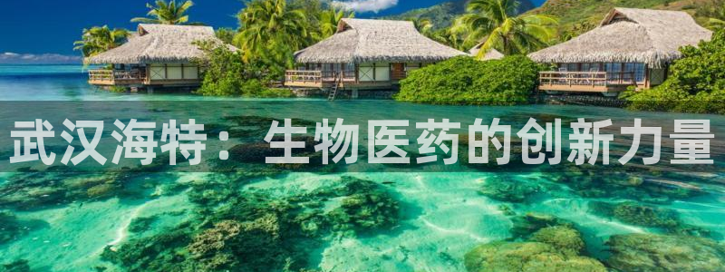 j9九游会老哥俱乐部交流区：武汉海特：生物医药的创新力量