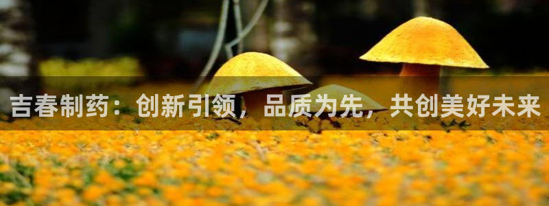 九游会老哥必备的交流社区：吉春制药：创新引领，品质为先，共创美好未来