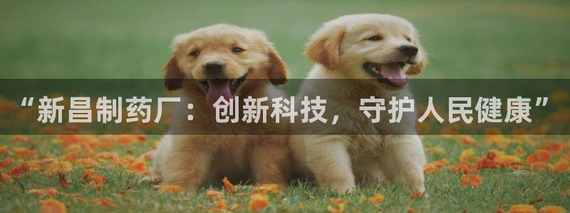 9游会老哥：“新昌制药厂：创新科技，守护人民健康”