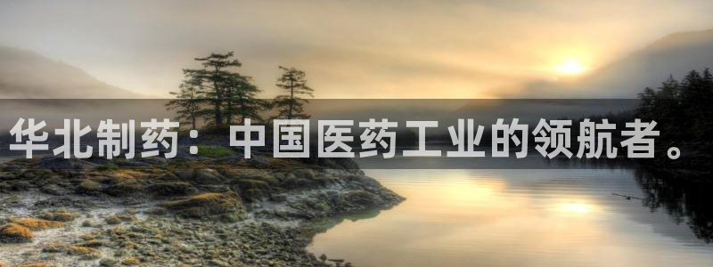 九游老哥俱乐部官网登录网址：华北制药：中国医药工业的领航者。