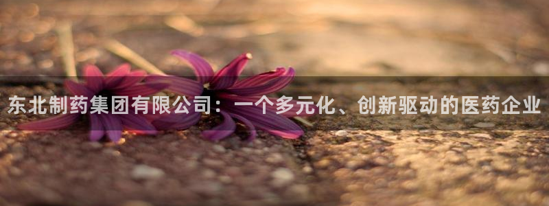 九游会老哥俱乐部官网：东北制药集团有限公司：一个多元化、创新驱动的医药企业