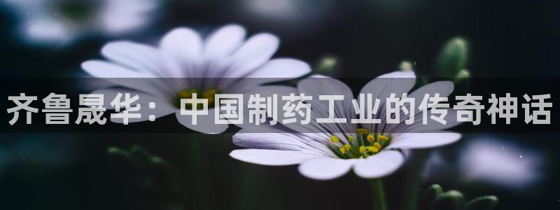 九游会老哥俱乐部必备的交流社区论坛：齐鲁晟华：中国制药工业的传奇神话