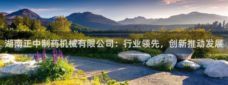 九游会老哥俱乐部论坛版：湖南正中制药机械有限公司：行业领先，创新推动发展