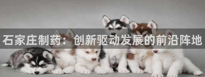 老哥吧九游会：石家庄制药：创新驱动发展的前沿阵地