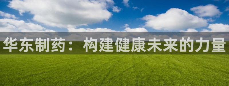 九游老哥俱乐部官网登录：华东制药：构建健康未来的力量