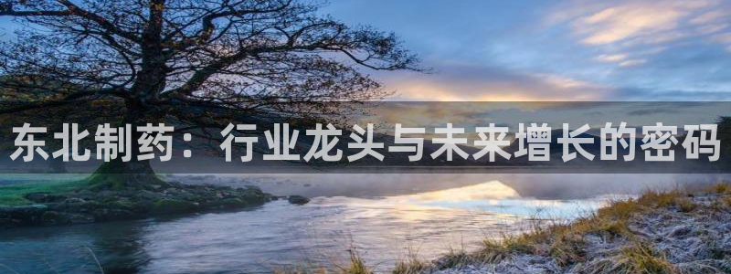 九游会老哥：东北制药：行业龙头与未来增长的密码