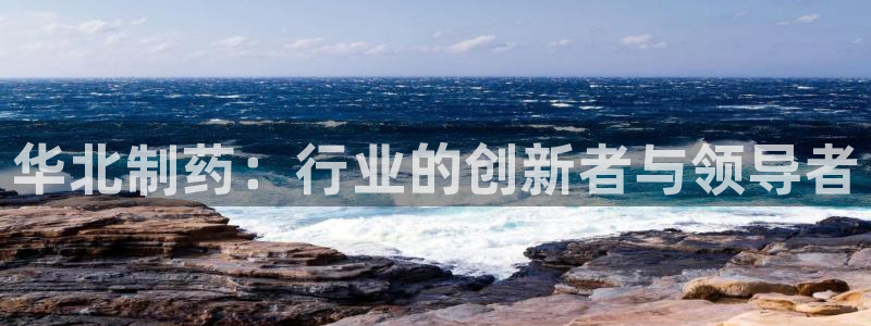 九游会老哥俱乐部官网首页论坛：华北制药：行业的创新者与领导者