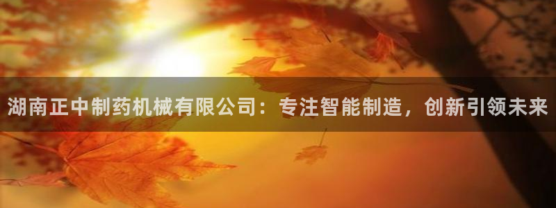 9游会老哥：湖南正中制药机械有限公司：专注智能制造，创新引领未来