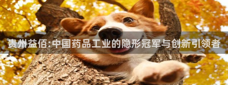 老哥俱乐部是干什么的：贵州益佰:中国药品工业的隐形冠军与创新引领者