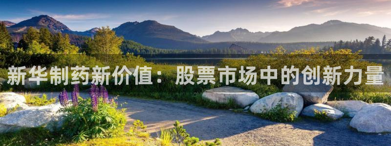 9游会老哥：新华制药新价值：股票市场中的创新力量