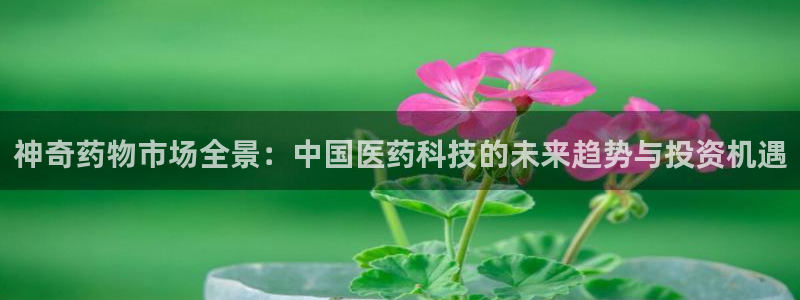 九游老哥俱乐部官网登录入口：神奇药物市场全景：中国医药科技的未来趋势与投资机遇