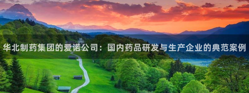 ag九游会老哥：华北制药集团的爱诺公司：国内药品研发与生产企业的典范案例