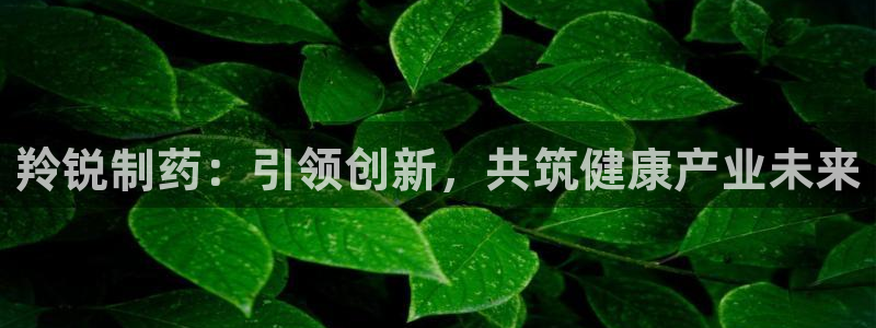 九游老哥俱乐部官网登录网址：羚锐制药：引领创新，共筑健康产业未来
