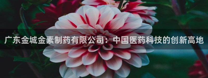 九游老哥俱乐部登录：广东金城金素制药有限公司：中国医药科技的创新高地