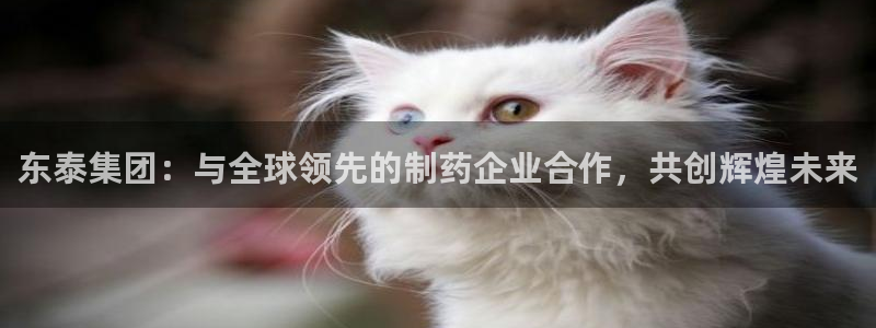 九游会老哥俱乐部官网：东泰集团：与全球领先的制药企业合作，共创辉煌未来