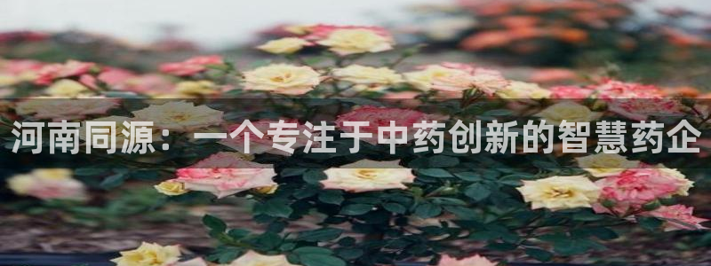 九游会老哥俱乐部社区论坛：河南同源：一个专注于中药创新的智慧药企