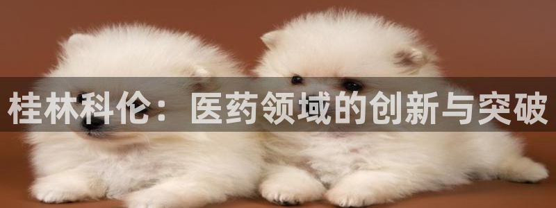 九游会老哥俱乐部：桂林科伦：医药领域的创新与突破