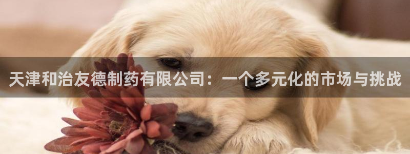 九游老哥俱乐部官网登录：天津和治友德制药有限公司：一个多元化的市场与挑战