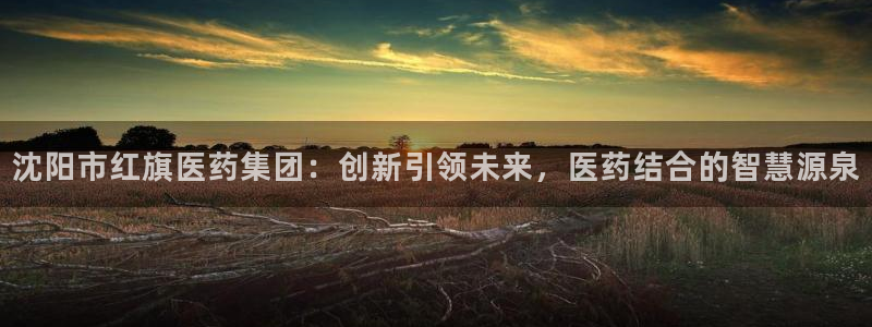 老哥吧九游会下架吗：沈阳市红旗医药集团：创新引领未来，医药结合的智慧源泉