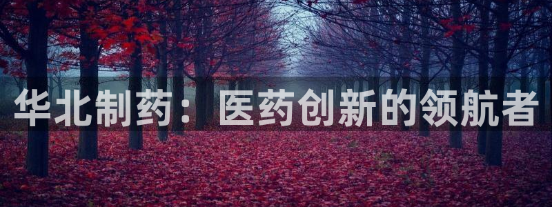 九游会老哥俱乐部必备的交流社区：华北制药：医药创新的领航者