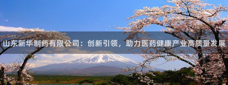 九游会老哥俱乐部官方网站：山东新华制药有限公司：创新引领，助力医药健康产业高质量发展