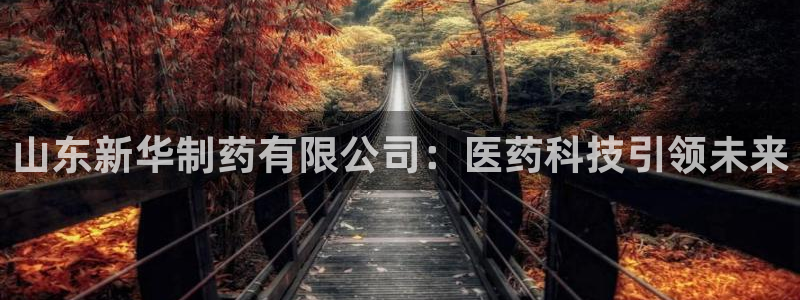 九游老哥俱乐部官网登录入口：山东新华制药有限公司：医药科技引领未来