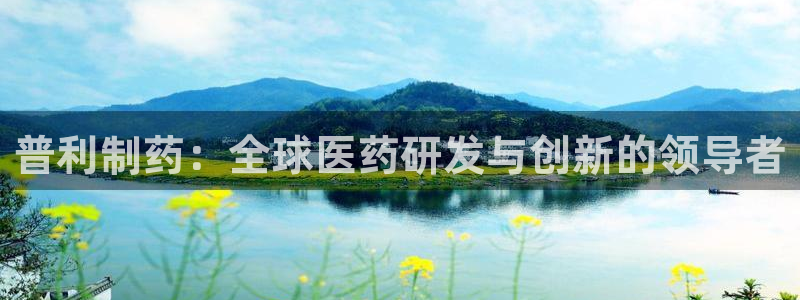九游会老哥：普利制药：全球医药研发与创新的领导者