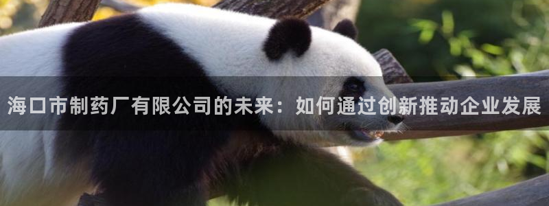 老哥俱乐部是干什么的
