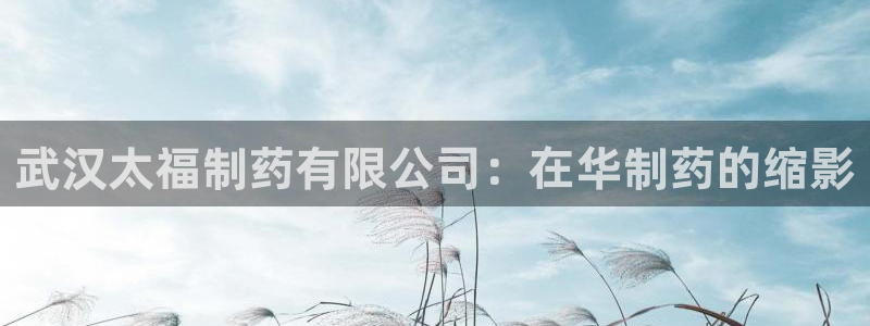 9游会老哥俱乐部：武汉太福制药有限公司：在华制药的缩影
