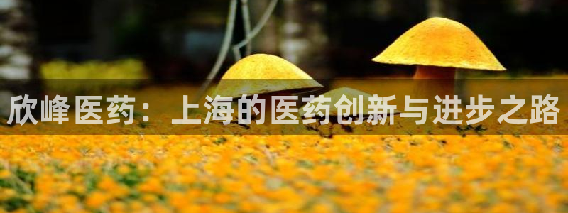 九游会老哥俱乐部官网首页：欣峰医药：上海的医药创新与进步之路