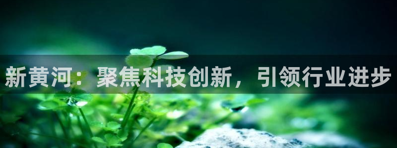 九游会老哥俱乐部：新黄河：聚焦科技创新，引领行业进步