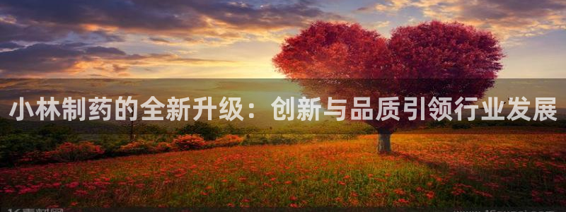 九游老哥俱乐部官网登录不了：小林制药的全新升级：创新与品质引领行业发展