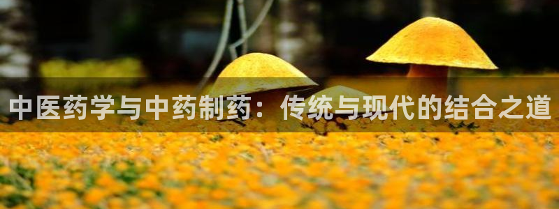 usdt九游会老哥俱乐部：中医药学与中药制药：传统与现代的结合之道