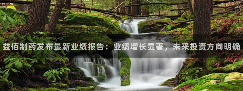 九游会老哥俱乐部论坛版：益佰制药发布最新业绩报告：业绩增长显著，未来投资方向明确