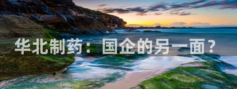 ag九游会老哥俱乐部：华北制药：国企的另一面？