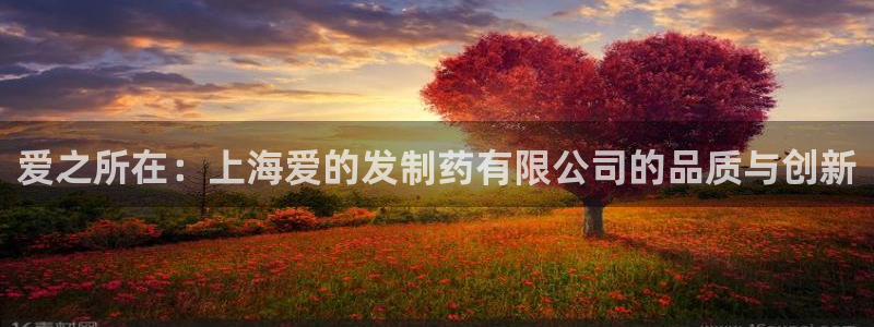 九游老哥俱乐部登录：爱之所在：上海爱的发制药有限公司的品质与创新
