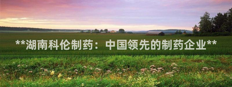 九游会老哥俱乐部：**湖南科伦制药：中国领先的制药企业**