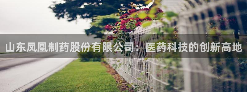 九游老哥俱乐部官网登录网址：山东凤凰制药股份有限公司：医药科技的创新高地