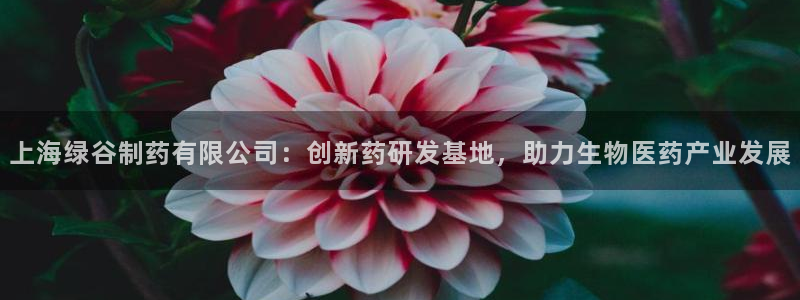 九游会老哥俱乐部交流社区：上海绿谷制药有限公司：创新药研发基地，助力生物医药产业发展