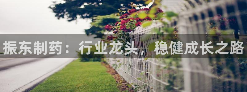 usdt九游会老哥俱乐部：振东制药：行业龙头，稳健成长之路