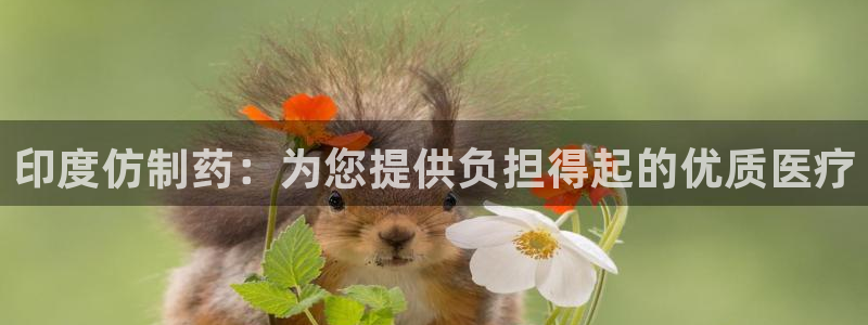 九游会老哥：印度仿制药：为您提供负担得起的优质医疗