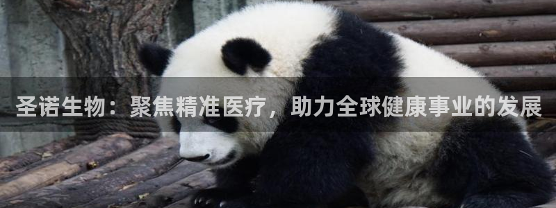 九游老哥俱乐部登录：圣诺生物：聚焦精准医疗，助力全球健康事业的发展
