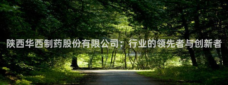 老哥俱乐部是干什么的啊：陕西华西制药股份有限公司：行业的领先者与创新者