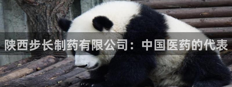 九游会老哥俱乐部官网：陕西步长制药有限公司：中国医药的代表