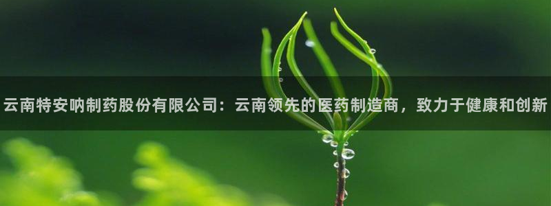 老哥吧九游会：云南特安呐制药股份有限公司：云南领先的医药制造